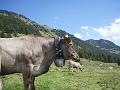 Pyrenees 2011 078